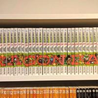 Dragon Ball Evergreen Completa 1-42