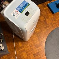 Climatizzatore/pinguino