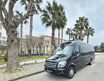 Mercedes-Benz Sprinter 519 Tomassini EURO 6