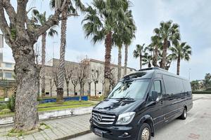 Mercedes-Benz Sprinter 519 Tomassini EURO 6