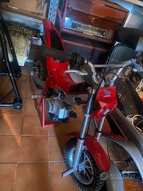MINI TRIAL