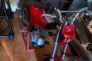 MINI TRIAL