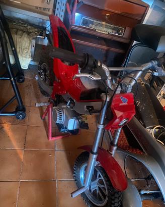 MINI TRIAL