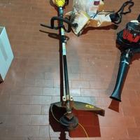 decespugliatore e soffiatore appena revisionati