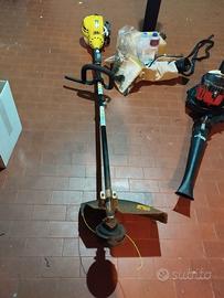 decespugliatore e soffiatore appena revisionati