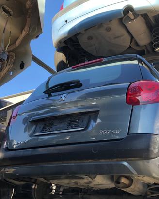 Cofano Posteriore Peugeot 207 Sw