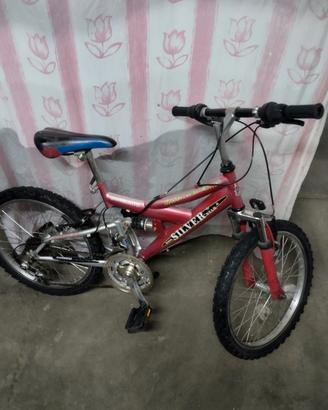 Mountain bike ragazzo 