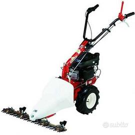 falciatrice eurosystem 625 benzina 5 CV motore b&s
