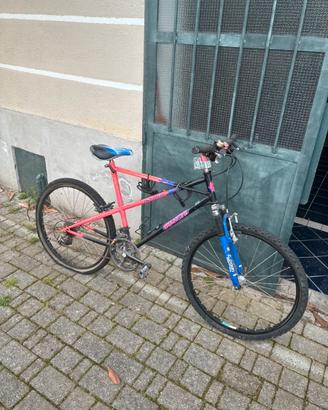 Bicicletta