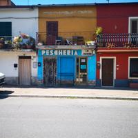 Locale commerciale e/o Attività di Pescheria