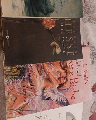 4 libri sul genere rosa