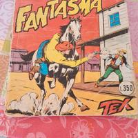 il villaggio fantasma n 36