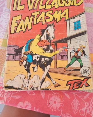 il villaggio fantasma n 36