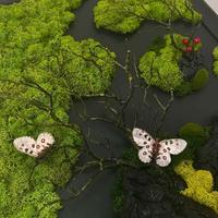 Quadro muschio stabilizzato