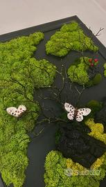 Quadro muschio stabilizzato