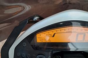 Honda  hornet 600