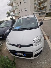 Panda metano