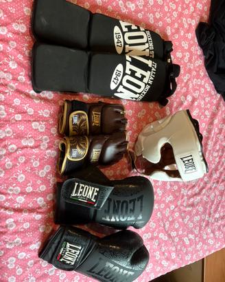 LOTTO BOX - MMA LEONE