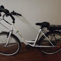 bicicletta elettrica 