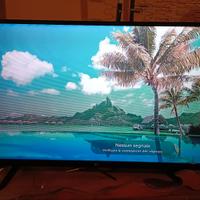 TV LG 43" da sistemare 