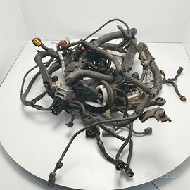 Cablaggio sistema impianto elettrico motore infini