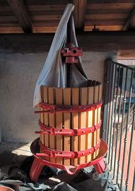 TORCHIO