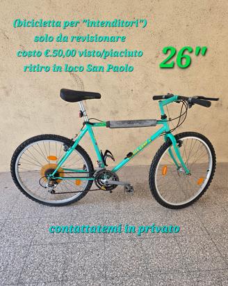 Bici usata