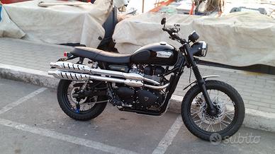 TRIUMPH SCRAMBLER  900