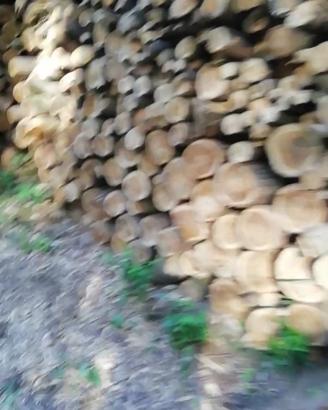 legna frassino, olmo, rubigna 