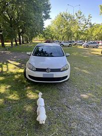 Volkswagen Golf VI 1.6 TDI Highline 105 Cv 2012.