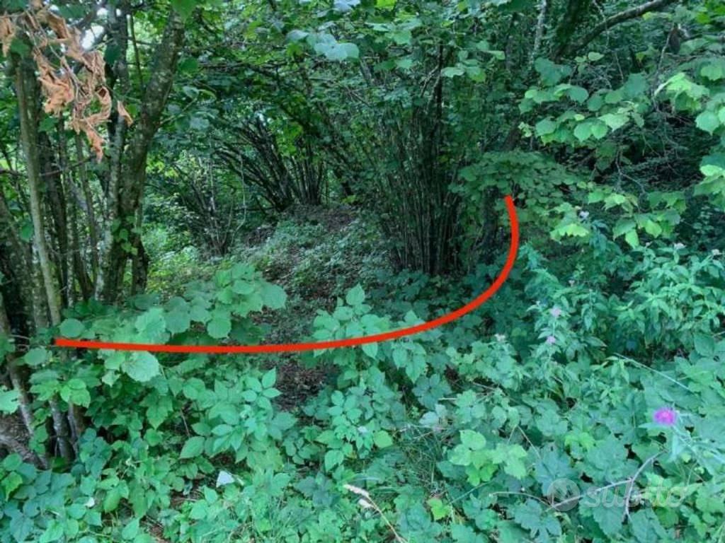 Immobile in asta di 141488 m² a Caltrano - Vista 3