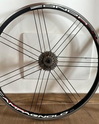 Campagnolo Zonda ruote strada bdc