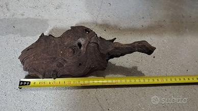 Tronco allestimento acquario