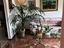 Immagine 12