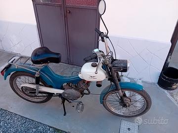 dingo moto guzzi 50