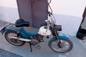 dingo moto guzzi 50