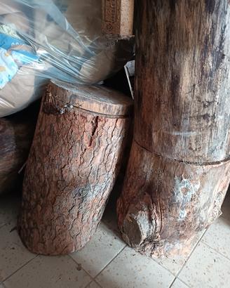 tronchi albero legno