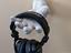 Immagine 1