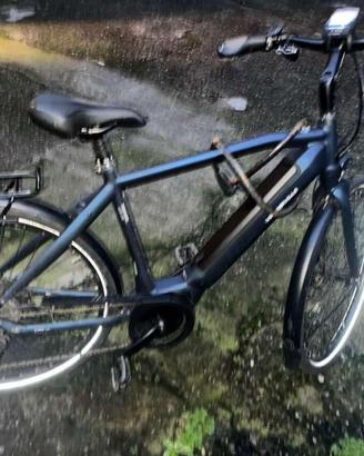 Bici elettrica