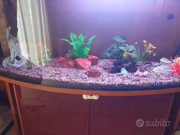 acquario