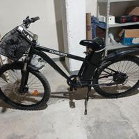 Bicicletta elettrica