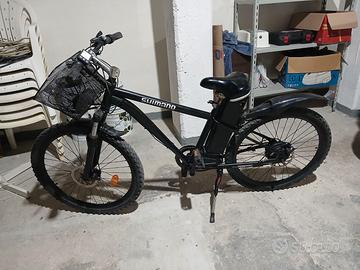 Bicicletta elettrica
