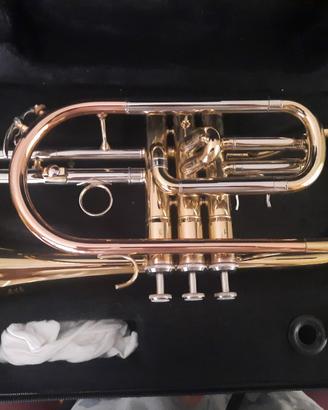 Cornetta