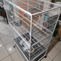 Gabbia grande per uccellini