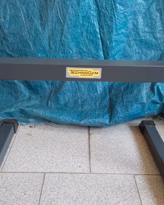 Technogym Dip  station