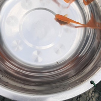 Medaka,gialli, rossi,blu,arancio