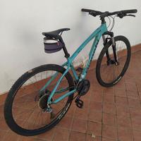 Bianchi kuma 29.2 taglia M