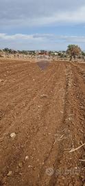 Terreno Edificabile - Caltagirone