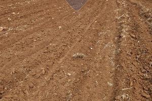 Terreno Edificabile - Caltagirone