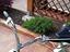 Immagine 6